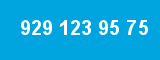929 123 95 75
